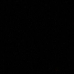 Meet your Posher, Lolly